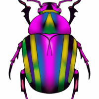 Colourful scarab beetle ancient Egypt pink purple green yellow